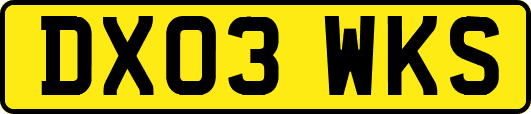 DX03WKS