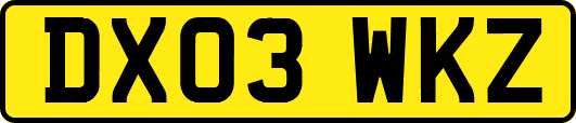 DX03WKZ