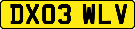 DX03WLV