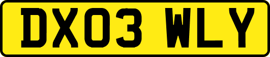 DX03WLY