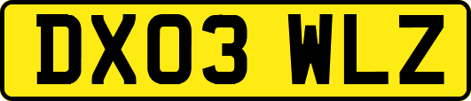 DX03WLZ