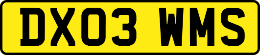 DX03WMS