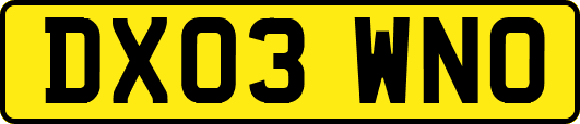 DX03WNO