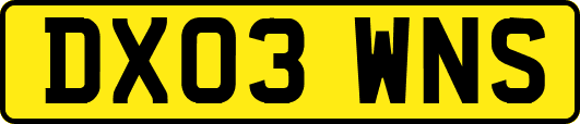 DX03WNS