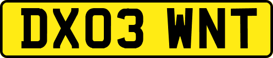 DX03WNT
