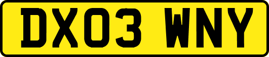 DX03WNY