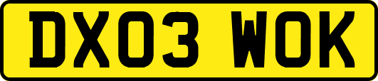 DX03WOK
