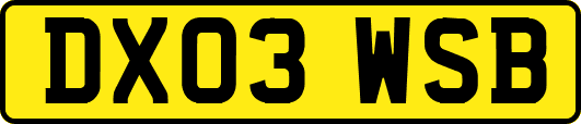 DX03WSB