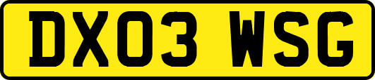DX03WSG