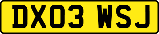 DX03WSJ