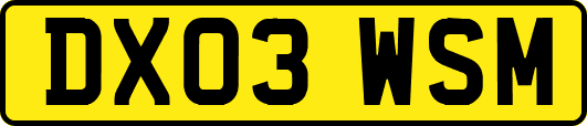 DX03WSM