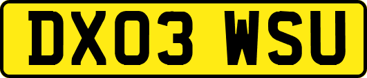 DX03WSU