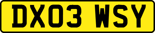 DX03WSY