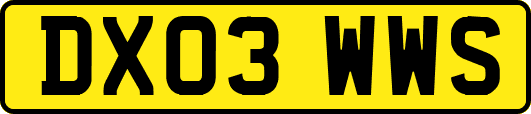 DX03WWS