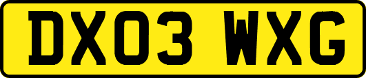 DX03WXG