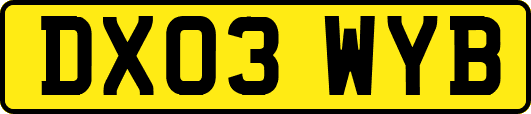 DX03WYB