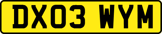 DX03WYM