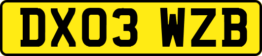 DX03WZB