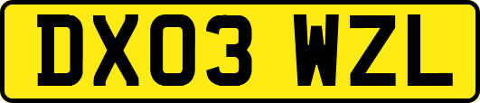 DX03WZL