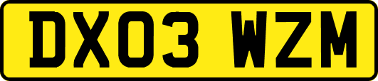 DX03WZM