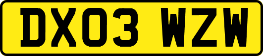 DX03WZW