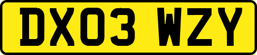 DX03WZY