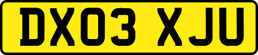 DX03XJU