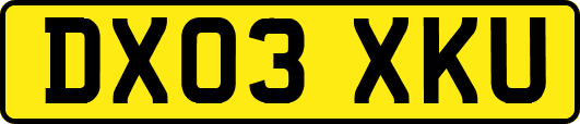DX03XKU
