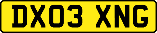 DX03XNG