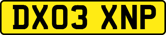 DX03XNP