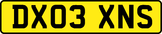 DX03XNS