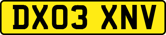 DX03XNV