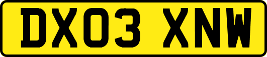 DX03XNW