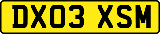 DX03XSM