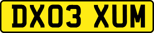 DX03XUM