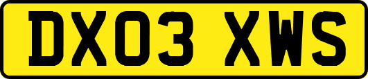 DX03XWS