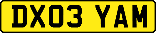 DX03YAM