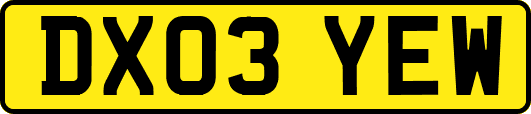 DX03YEW