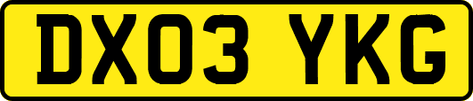 DX03YKG