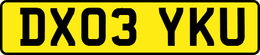 DX03YKU