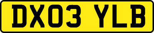 DX03YLB