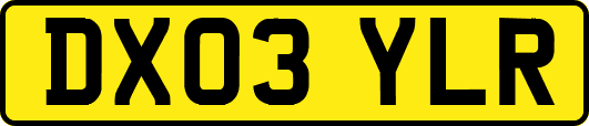 DX03YLR