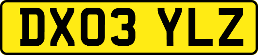 DX03YLZ