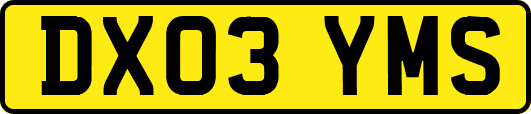 DX03YMS