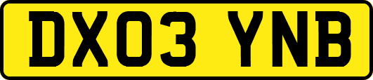 DX03YNB