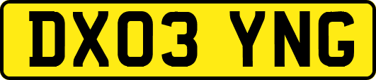 DX03YNG