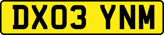 DX03YNM