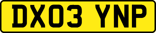 DX03YNP