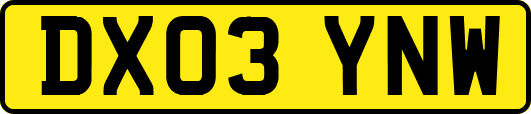 DX03YNW