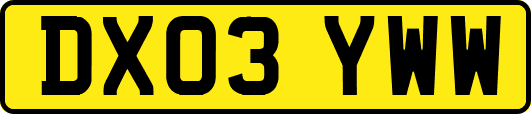 DX03YWW